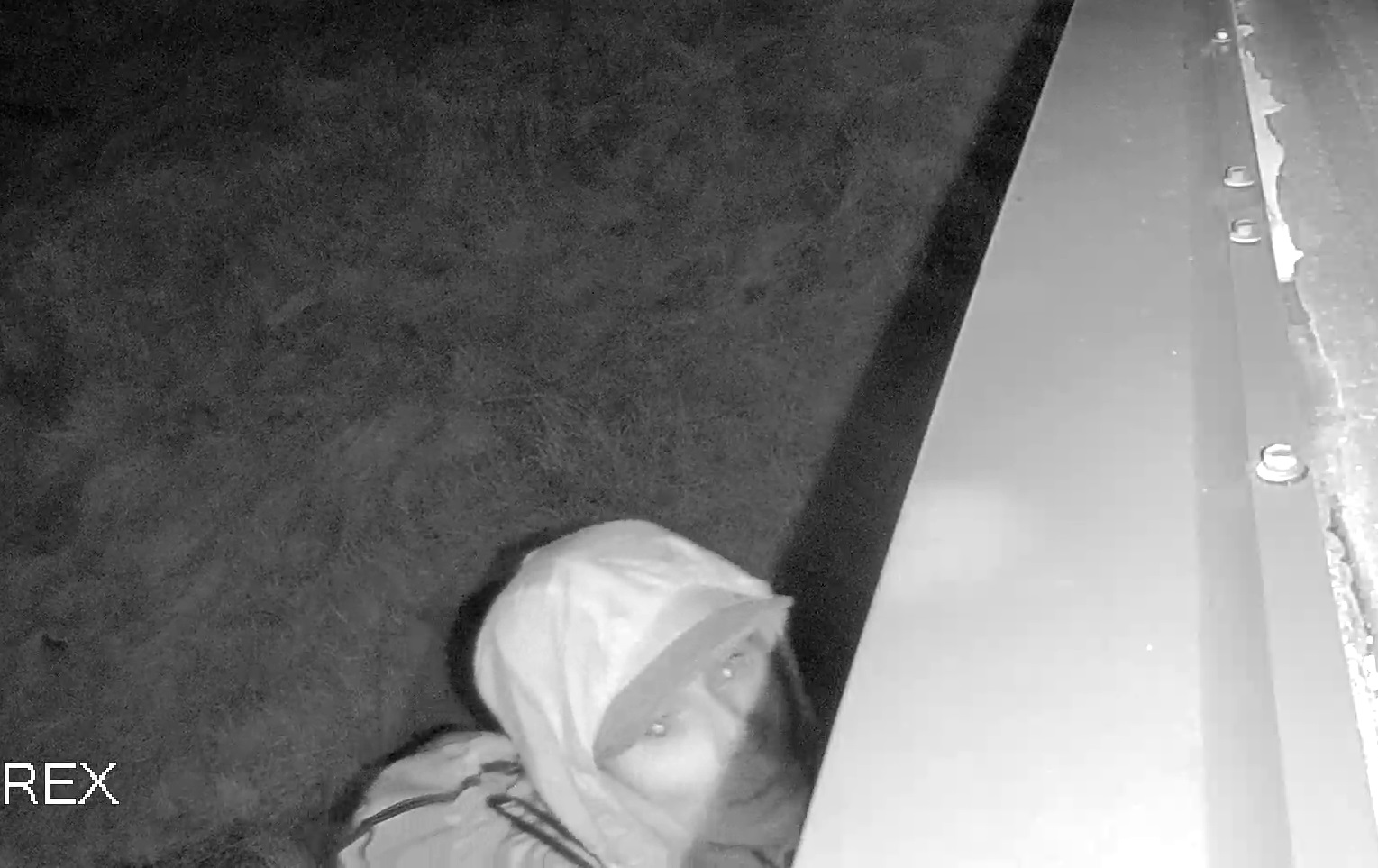 Cold Lake RCMP seek assistance to identify break and enter suspect ...