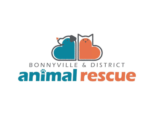 New Name, Same Mission: Bonnyville SPCA Rebrands as Bonnyville Animal Rescue
